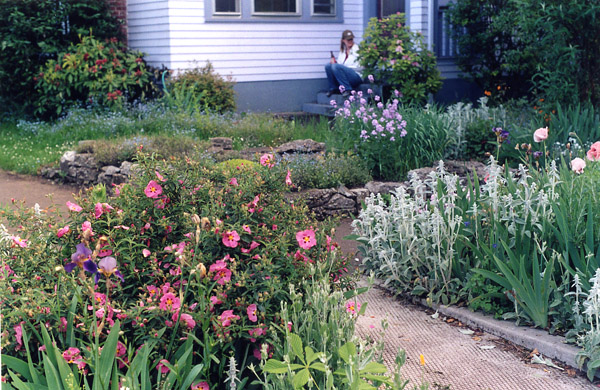 june-flowers